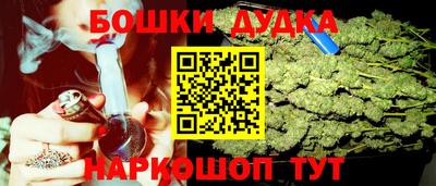 трава Сланцы