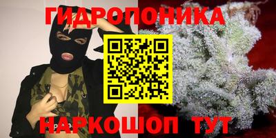 трава Сланцы