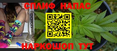 трава Сланцы