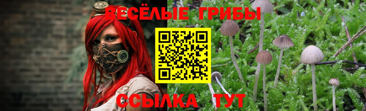 Галлюциногенные грибы мухоморы Нефтекамск